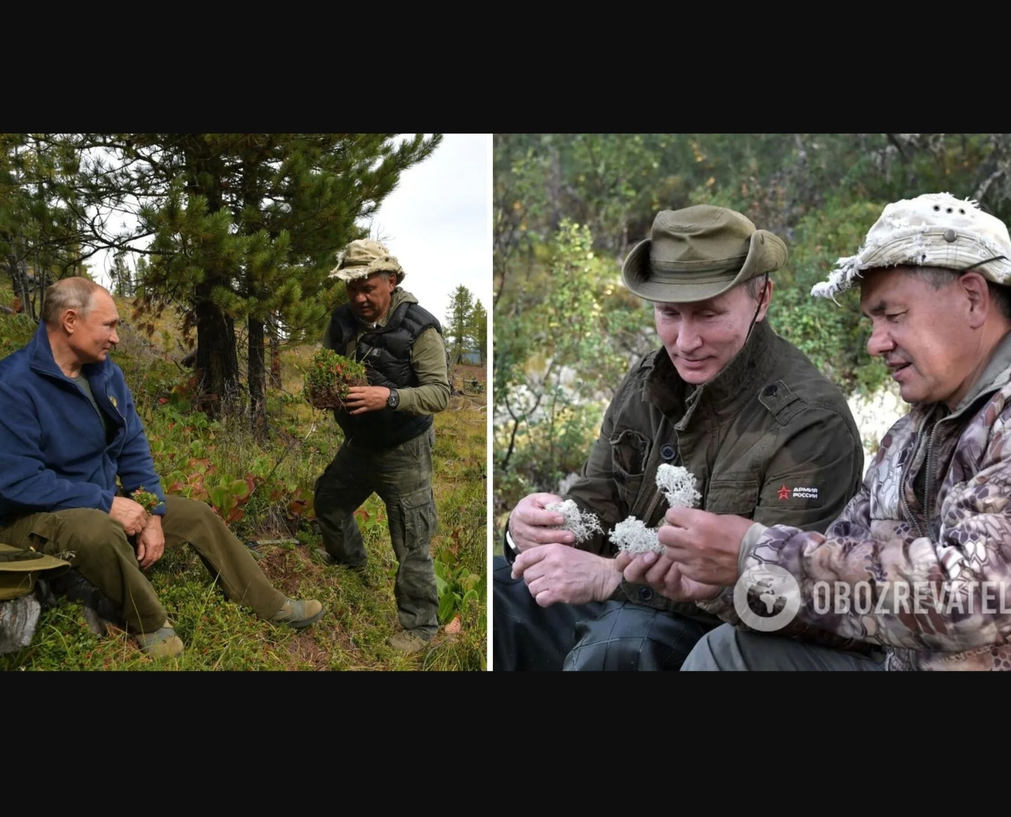 Путин и шойгу в тайге фото