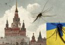 Увага всім! Українців застерігають ні в якому разі не викладати фото комах з квартир: це може бути підрозділ на ротації ФОТО