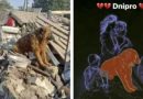 “Тепер він разом із тими, кого любив”: помер пес Крим, який потрапив під ракетний удар у Дніпрі, городяни просять створити мурал