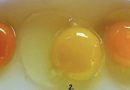 Яке з цих яєць знесла здорова курка? Я раніше цього не знала і відповідь мене здивувала!