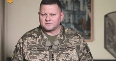 Спішу поділитися чудовою звісткою: Наш генерал Залужний підтвердив, що українські військові знuщують понад 80% російських повітряних цілей… Підтримаймо і подякуймо їм за це!