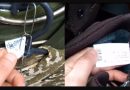 “І таке робиться по усіх містах. Наші хлопці життя віддають за наш спокій, усі мирні люди допомагають військовим, різні країни нам допомагають, а у нас усе як в прірву…” Відео
