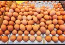 В Україні з 1го лютого будуть по-новому продавати курячі яйця: як зміняться вимоги