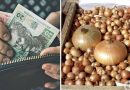 Вперше за всю історію незалежності вартість цибулі підросла до рекордної, хто ж її тепер за такі гроші купуватиме?
