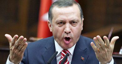 Терпіння Ердогана закінчилося: Туречина офіційно підтвердила закриття з 1-го лютого чорноморських проток для військових кораблів РФ