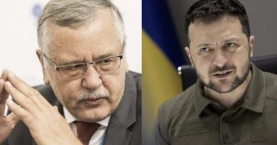 Гриценко – Зеленському: “Спустіть їх всіх на землю, жодних їм грошей, відібрати від них все, наведіть нарешті порядок, пане Президенте”