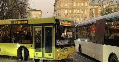 Ранок, в автобус, який їхав до села, заходять ТЦК. Здорові чоловіки у військовій формі. І тут стається те, чого не очікував ніхто. Дорогу їм перекриває бабуся… А слова, які вона сказала їм – досі лунають в моїй голові…