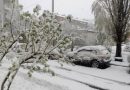 Львівщину в останній день квітня засипало снігом: фото і відео аномалії