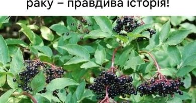 Боротьба з раком: 20 продуктів, які ви повинні спробувати