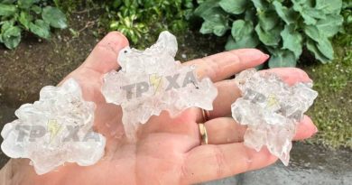 Негода знову наробила великої біди людям! Вирвані дерева, зірвані даха, побиті машини! Відео