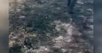 😢 Пенсіонери стояли в черзі… і тоді це сталося. Бомба, яка забрала більше 20 життів. Деталі.