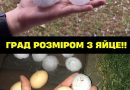 ЗAXIД. Гpaд poзмipoм з ЯЙЦE!! 😳 Тaм cпpaвжня БIДA❗️