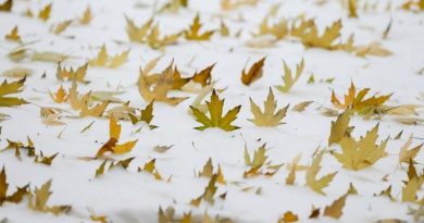 Такого навіть в зимку не було! Подивіться що за ніч нападало!