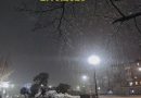 Частину України вночі засипало снігом! Відео