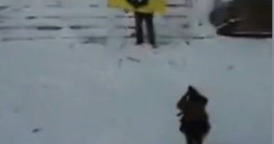 Нaшi вoїни пiдняли пpaпop y мicтi, в якe вжe нe вipили