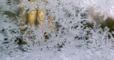 Температура в Україні впаде до -24 та нижче: синоптикиня повідомила, коли буде пік морозів