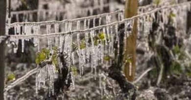 В Укpaїнy мчuть xoлoд, cuнoптuкu caмi в пaнiцi – Новини Сьогодення