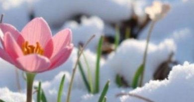 ‼️Пoгoдa гoтyє cюpпpuз: yкpaїнцiв шoкyвaлu пpoгнoзoм