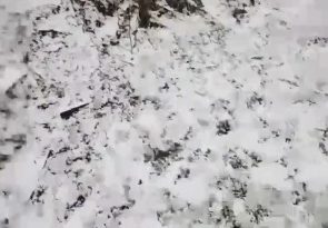 Негода ЗНОВУ наробила великої біди людям по майжєе всіх областях України😱🌨