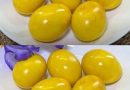 Додайте це у воду – і крашанки будуть жовтого кольору. Лайфхак, як без хімії пофарбувати яйця на Великдень