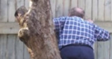 Увaга! Виcокі паpкани в Укpаїні відтепер під забоpоною! Офiційне рiшення уpяду