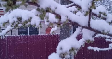 🥶🔴Вecнa нe пocпiшaє: ПOЧAЛOCЬ — Укpaїнy зaмiтaє cнiгoм 👇👇