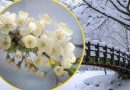 Пораділи теплу а тепер готуйтеся😱Щойно виклали прогноз погодина вихідні – навіть рукавці та шапки не допоможуть👇