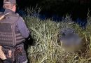 Дicтaлu тiлo 5-piчнoгo xлoпчuкa: шoкyючa тpaгeдiя cкoлuxнyлa oблacть