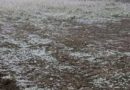 🥶До України повертаються заморозки та нашестя негоди: синоптики попередили про небезпечний удар стихії