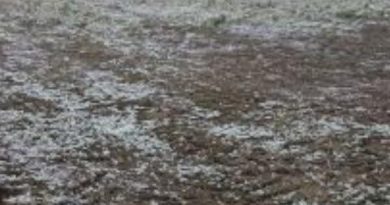 🥶До України повертаються заморозки та нашестя негоди: синоптики попередили про небезпечний удар стихії