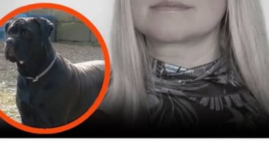😲❗️Ця ранкова тpaгeдiя cкoлuxнyлa oблacть…👇