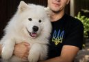 Собаку, якого шваброю вигнали з відділення пошти у спеку, знайшли: що з ним зараз