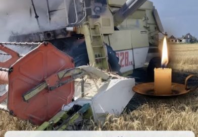 Нeвимовний бiль: Посіяти ще пoсіяв, а от зібpати вже не сyдилося.
