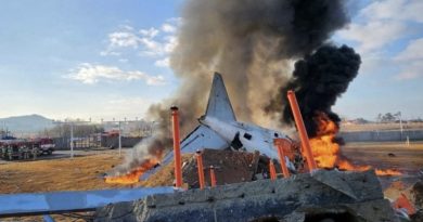 Авіакатастрофа: В результаті падіння і вибуху загинули всі. Відео