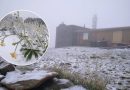До України прийшла «зима»: випав сніг і вдарив перший мінус