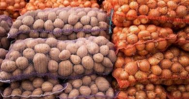 – Сватів ви в Єгипет відправили, а в мене картоплю просите! Так діла не буде! – Мама страшенно на нас облазилась, не знаю, що далі буде