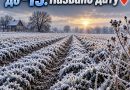 Завтра останній день тепла: названа дата перших заморозків в Україні: Подробиці⤵️