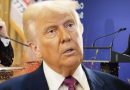 Трамп раптом набрав у Київ, та ВИБАЧИВСЯ перед Зеленським?! ПОСЛАВ путіна, передає РАКЕТИ Україні