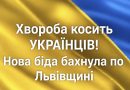 Нова біда бахнула по Львівщині: Спалахнула страшна хвороба