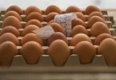 Ціни на яйця в АТБ та інших супермаркетах досягли неочікуваного рівня: що відбувається в супермаркетах