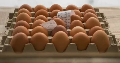 Ціни на яйця в АТБ досягли неочікуваного рівня: що відбувається в супермаркетах