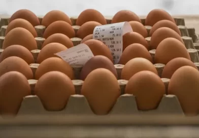 Ціни на яйця в АТБ та інших супермаркетах досягли неочікуваного рівня: що відбувається в супермаркетах